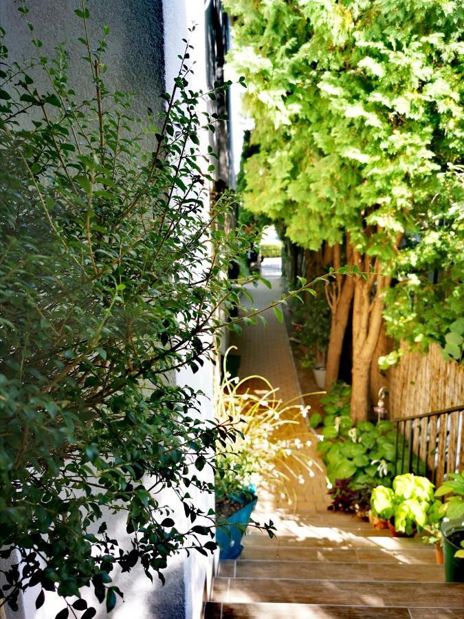 Piroska Villa Heviz Exterior foto